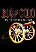 Big Gun AC/DC Tribute Band
