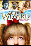 After The Wizard