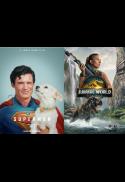 SUPERMAN (2025) / JURASSIC WORLD: REBIRRTH