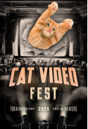 Cat Video Fest 2025