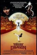 The Last Dragon