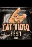 CatVideoFest 2025