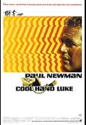 Cool Hand Luke
