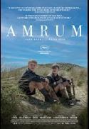 Amrum