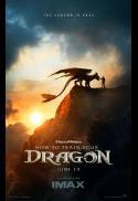 HOW TO TRAIN YOUR DRAGON / SHREK