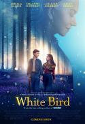 White Bird