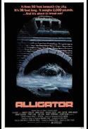 Alligator