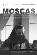 Moscas