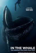 In The Whale