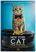 The 7th Annual New York Cat Film Festival