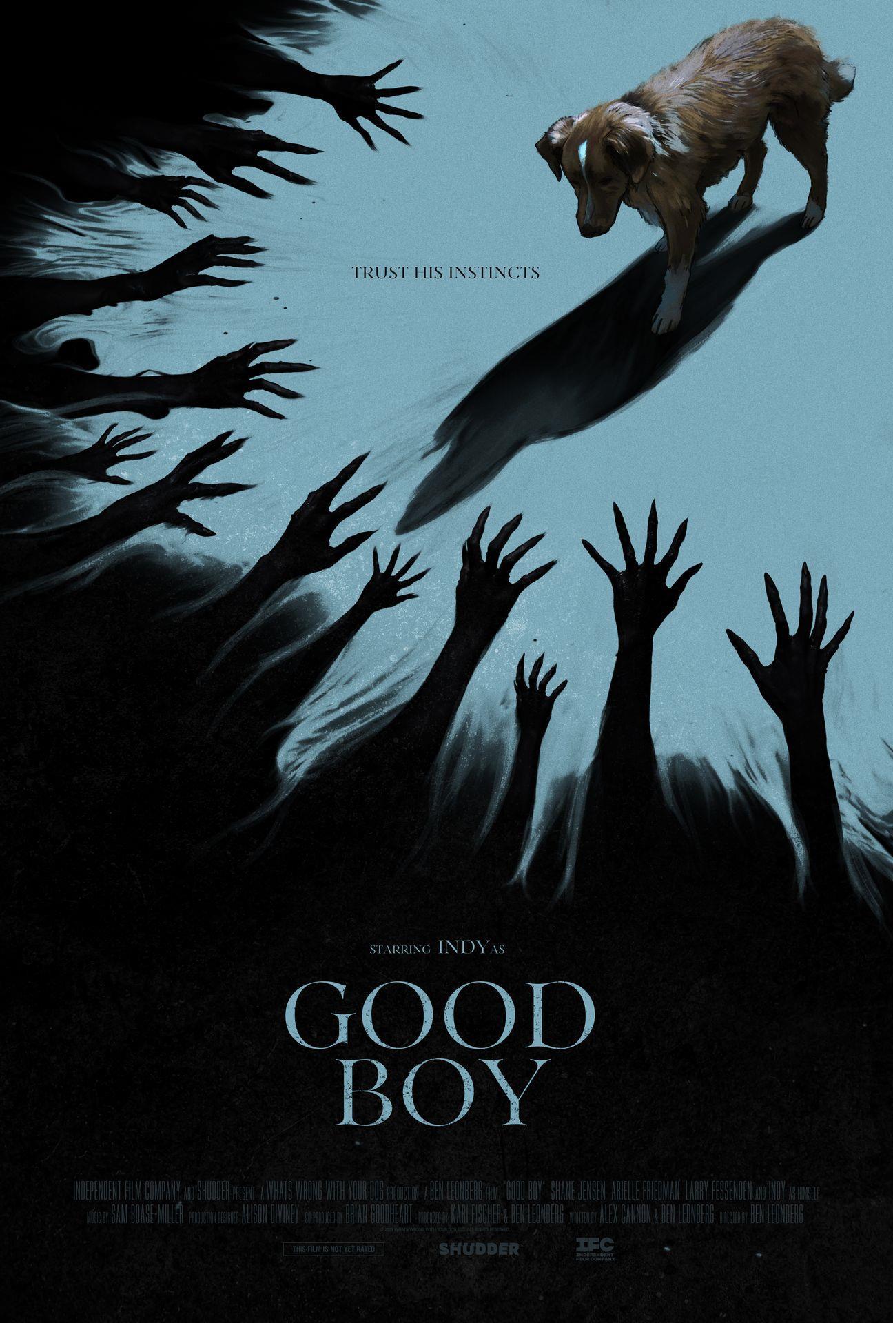 Movie Poster for Good Boy