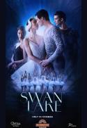 Paris Ballet: Opéra national de Paris Swan Lake