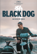Black Dog