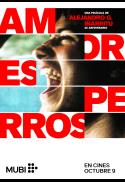 Amores Perros