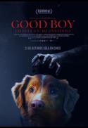 Good Boy