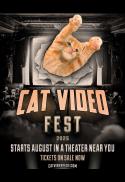 CatVideoFest 2025