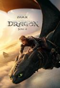How to Train Your Dragon