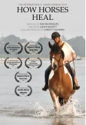 How Horses Heal