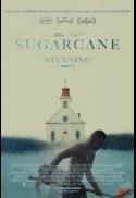 Island GreenTech Night: Sugarcane