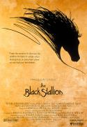 GreenTech Night: The Black Stallion
