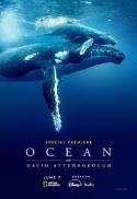 GreenTech Night: OCEAN with David Attenborough