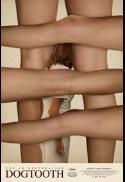 Dogtooth 4K Restoration