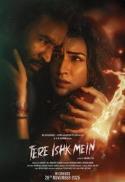 Tere Ishk Mein (Hindi)