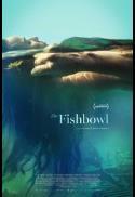 The Fishbowl (La Pecera)
