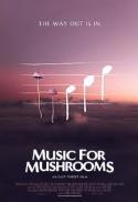 Music For Mushrooms