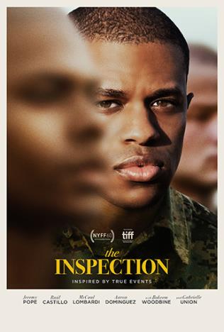 INSPECTION, THE