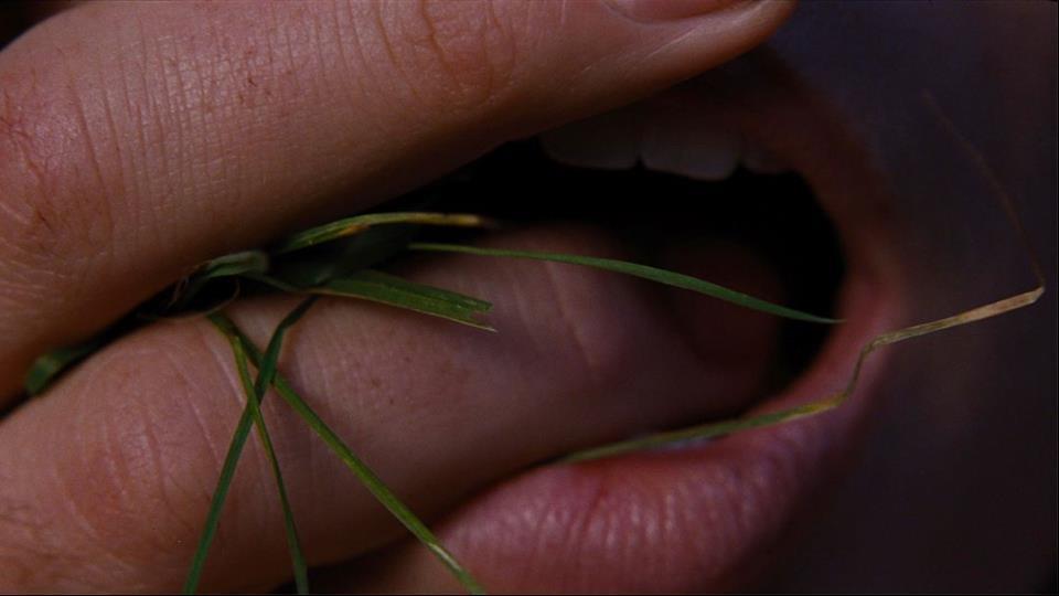 for sexual content, some violent content and language.