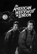 16mm Screening: An American Werewolf in London