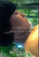 Sheep in the Box (2026)