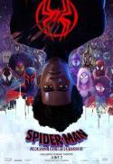 Family Series: Spider-Man: Across The Spider-Verse