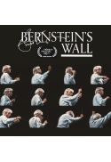 Bernstein's Wall