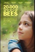 20,000 Species Of Bees