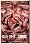 Rosebush Pruning