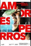 Amores perros (25th Anniversary)