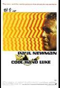 Wed. Classics: Cool Hand Luke