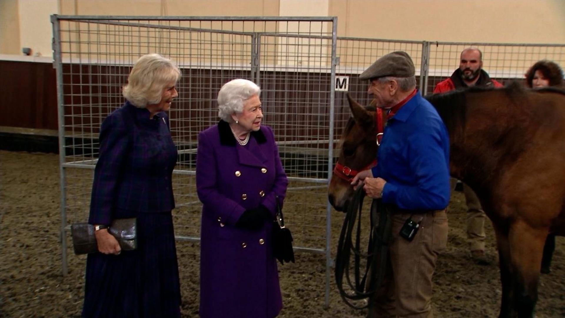 COWBOY AND THE QUEEN, THE
