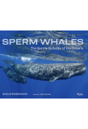 The Hydrosphere — FREE