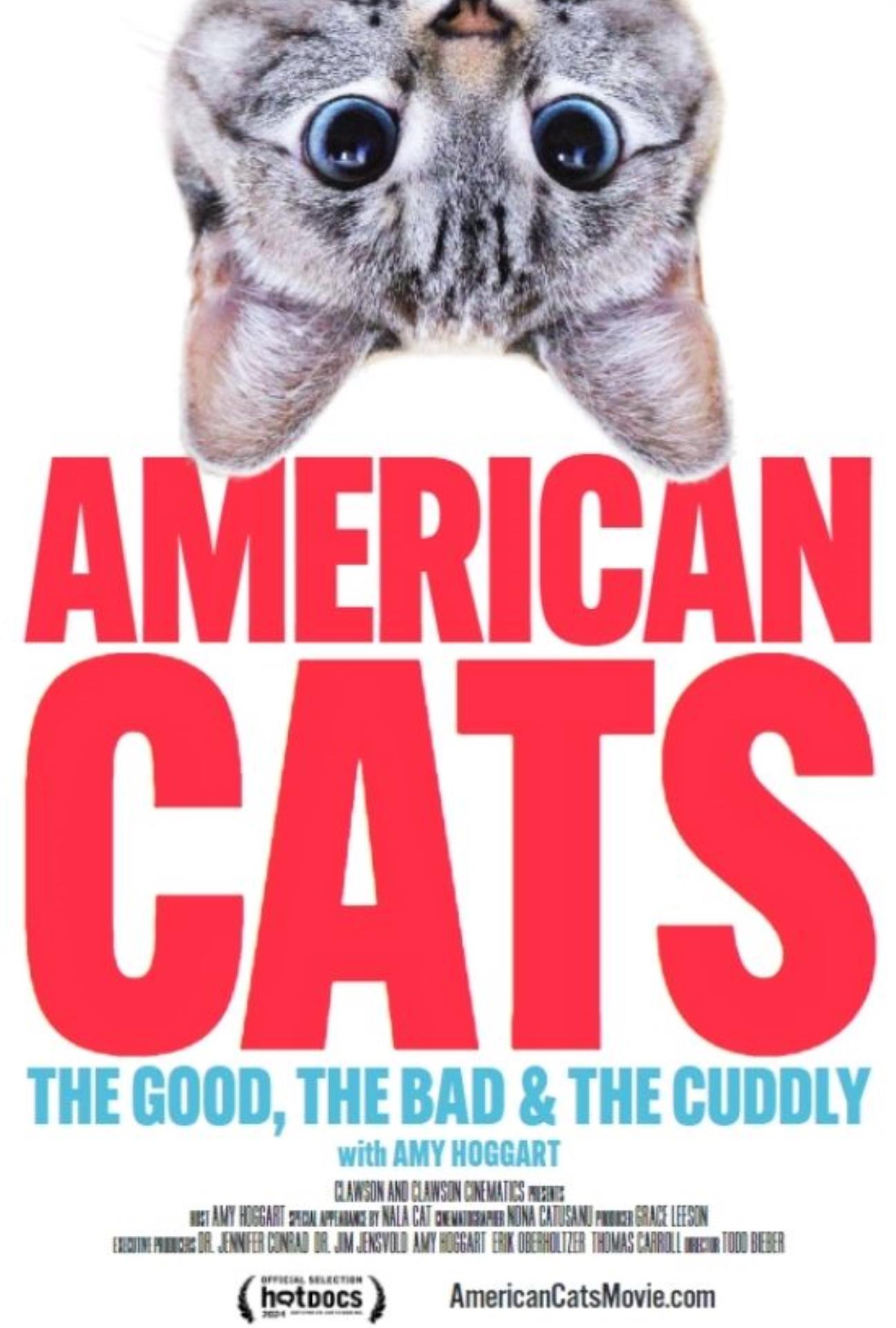 AMERICAN CATS: THE GOOD, THE BAD AND THE CUDDLY