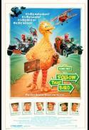 Follow That Bird