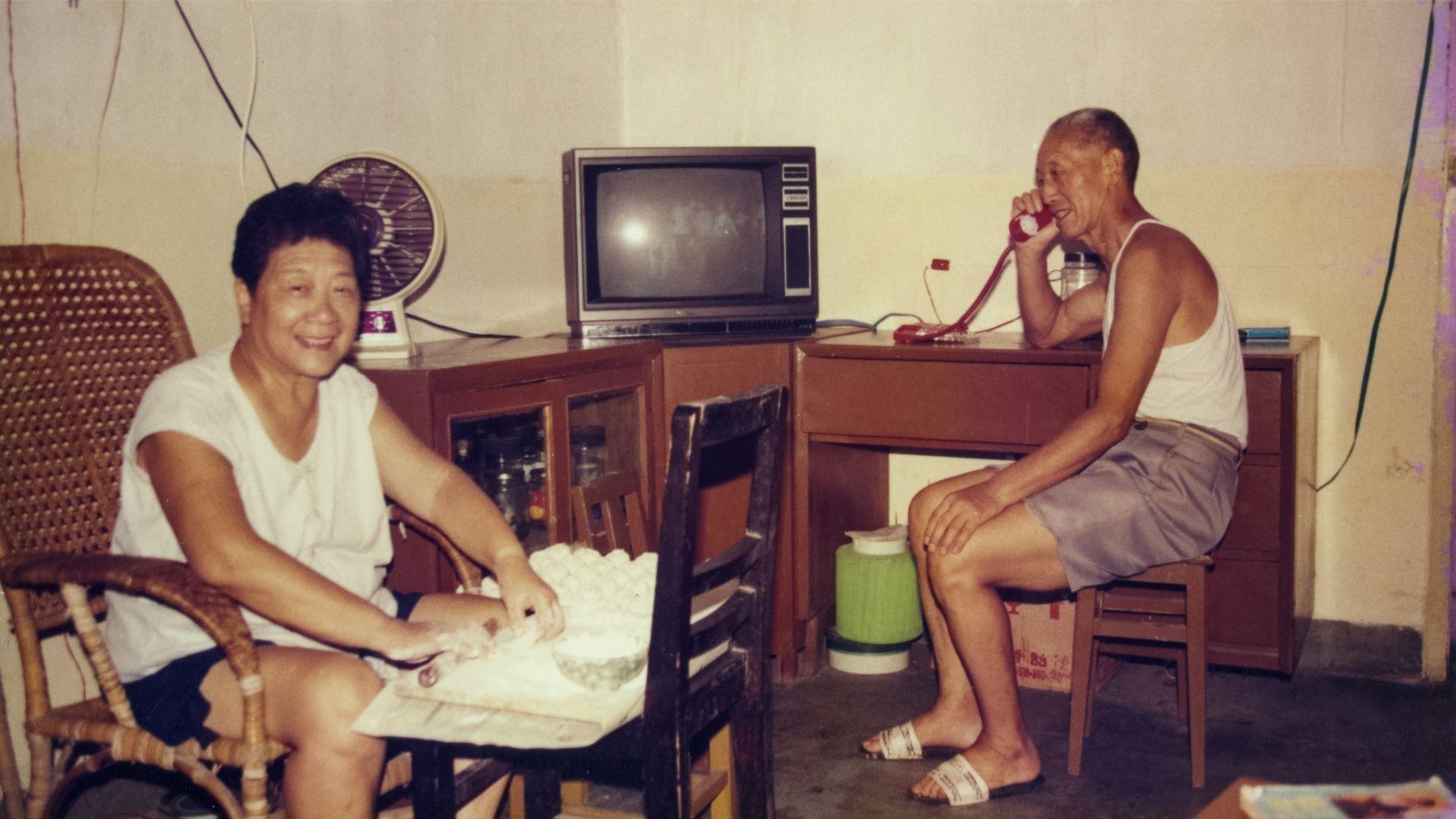 GARDENER AND THE DICTATOR, THE