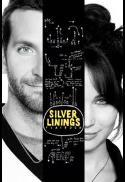 Flashback Series: Silver Linings Playbook