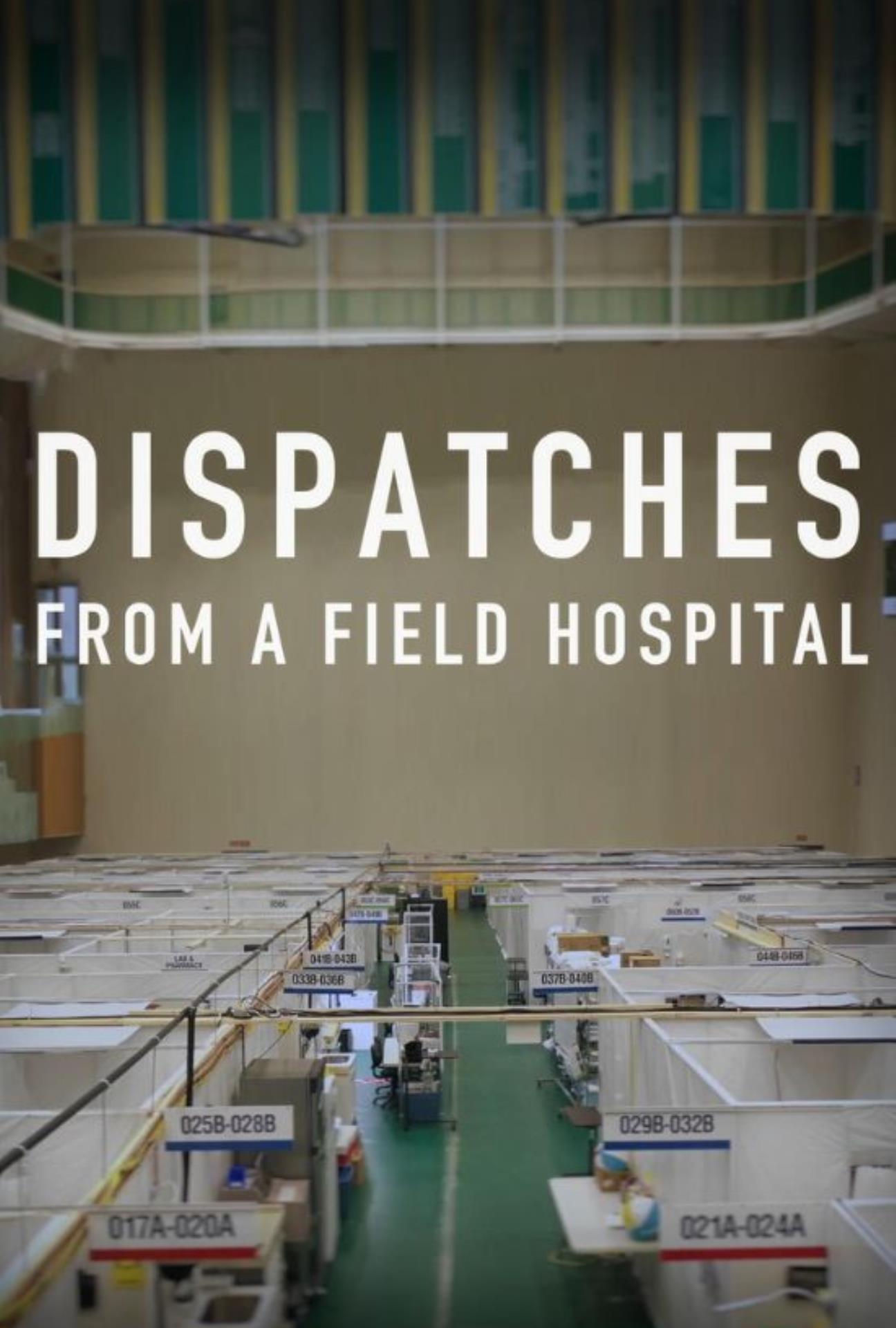 DISPATCHES FROM A FIELD HOSPITAL