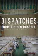 DISPATCHES FROM A FIELD HOSPITAL
