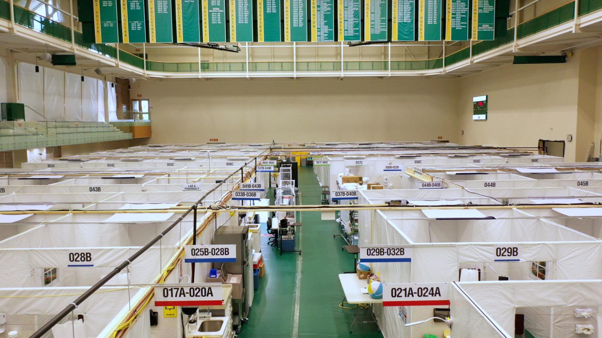 DISPATCHES FROM A FIELD HOSPITAL