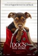 A Dog's Way Home - FREE SUMMER MOVIE